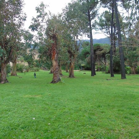 卡尔卡托吉奥Studio Pieds Dans L'Eau公寓 外观 照片